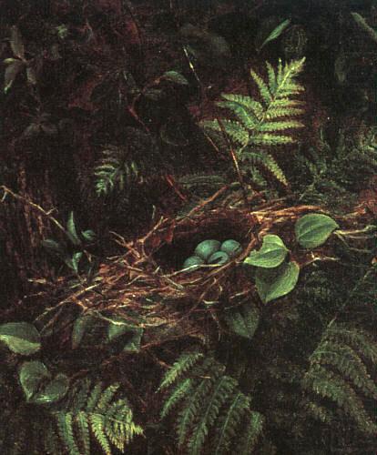 Fidelia Bridges Bird's Nest and Ferns china oil painting image